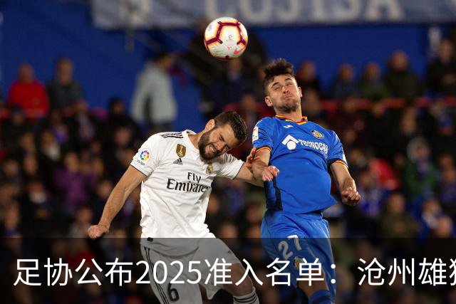 足协公布2025准入名单：沧州雄狮、广州队无缘