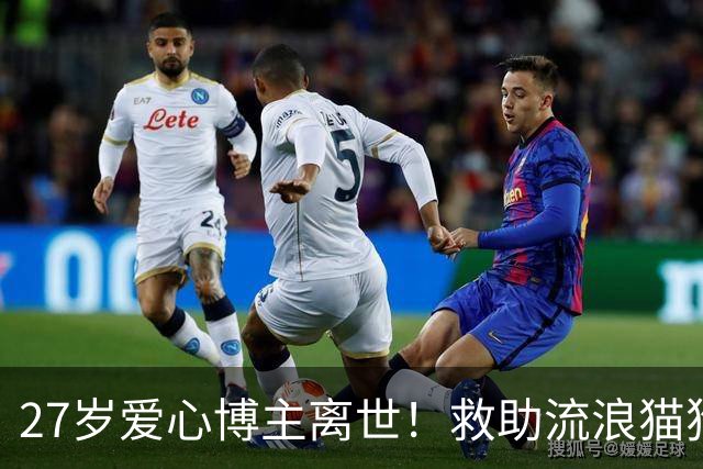 27岁爱心博主离世！救助流浪猫狗感染罕见真菌，ICU抢救22天，丈夫：她在我眼里没有缺点